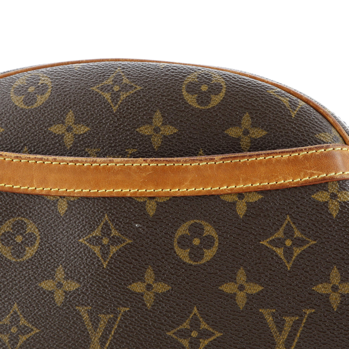 Blois Handbag Monogram Canvas
