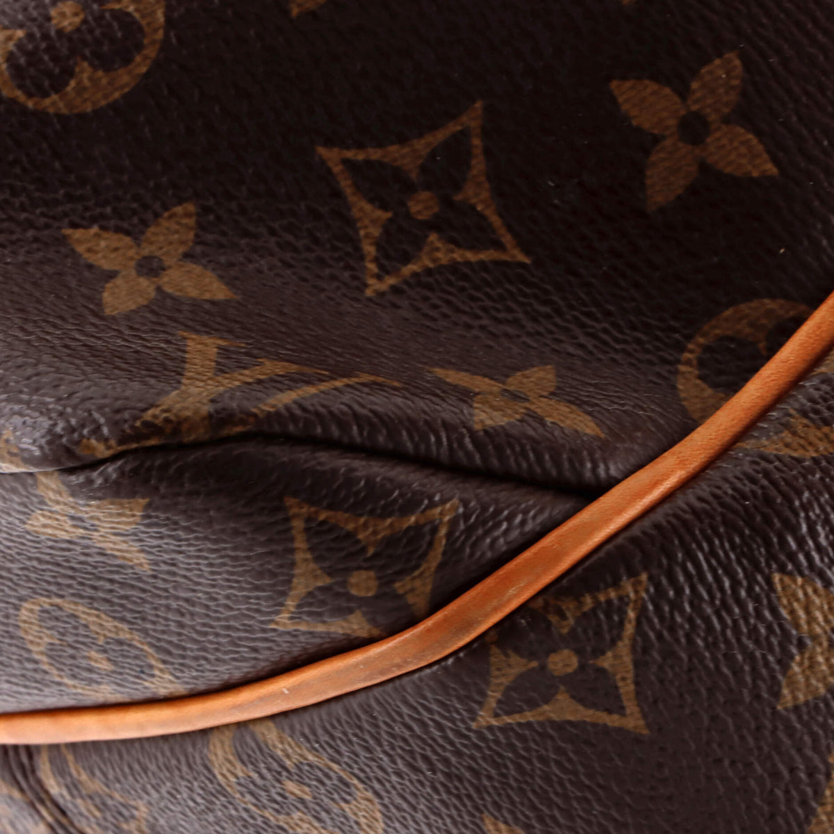 Totally Handbag Monogram Canvas GM