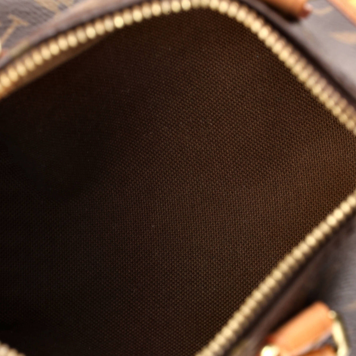 Speedy Bandouliere Bag Monogram Canvas Nano