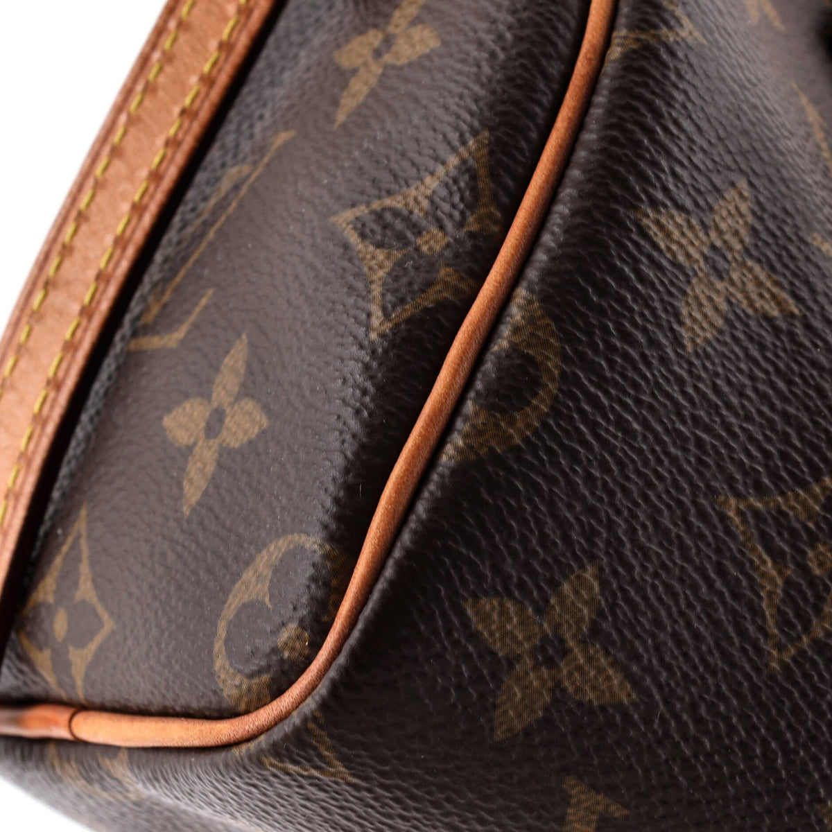 Speedy Bandouliere Bag Monogram Canvas Nano